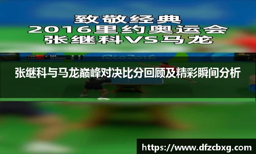 星空.综合体育官网