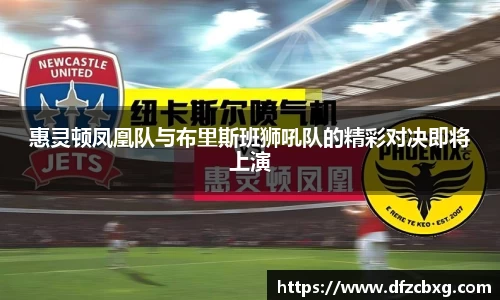 惠灵顿凤凰队与布里斯班狮吼队的精彩对决即将上演