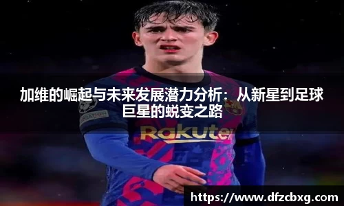 星空综合(中国)官方网站