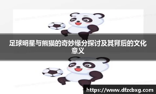 星空.综合体育官网