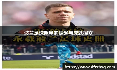 星空.综合体育官网